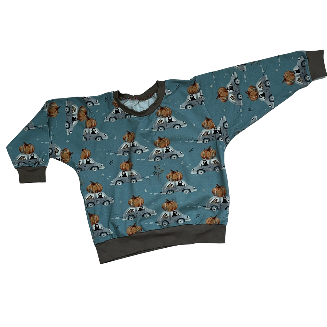 pumpkin on the roof lounge sweater 18-24m